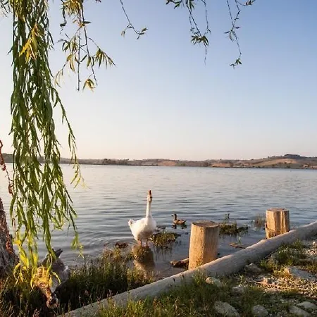 여관 Terracqua Boutique Retreat I Essence Of Tuscany 키우시