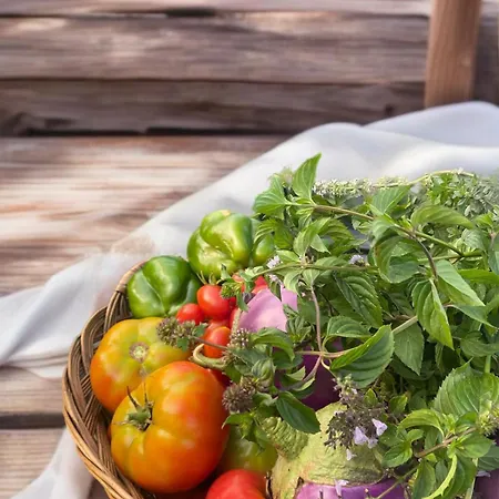 Terracqua Boutique Retreat I Essence Of Tuscany 여관 *