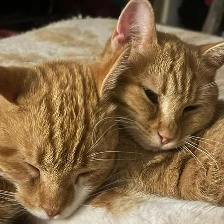 Terracqua Boutique Retreat I Essence Of Tuscany * 키우시