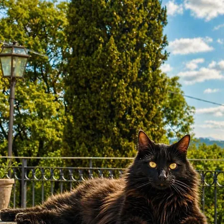 Terracqua Boutique Retreat I Essence Of Tuscany Inn